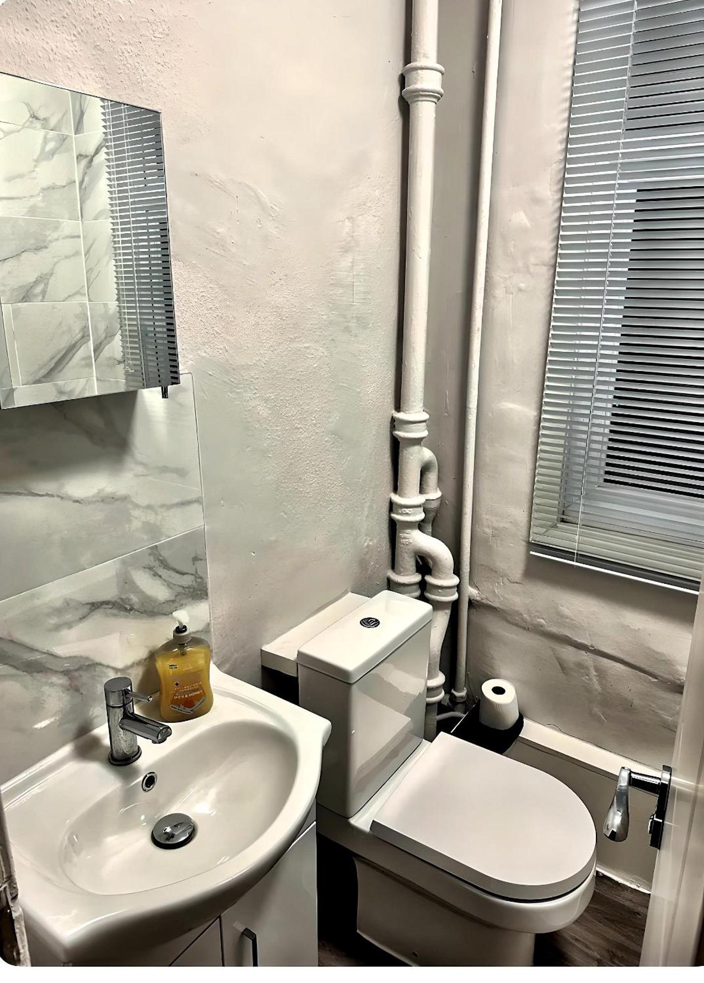 Brixton Hill Retreat Modern And Cosy Apartment London Ngoại thất bức ảnh