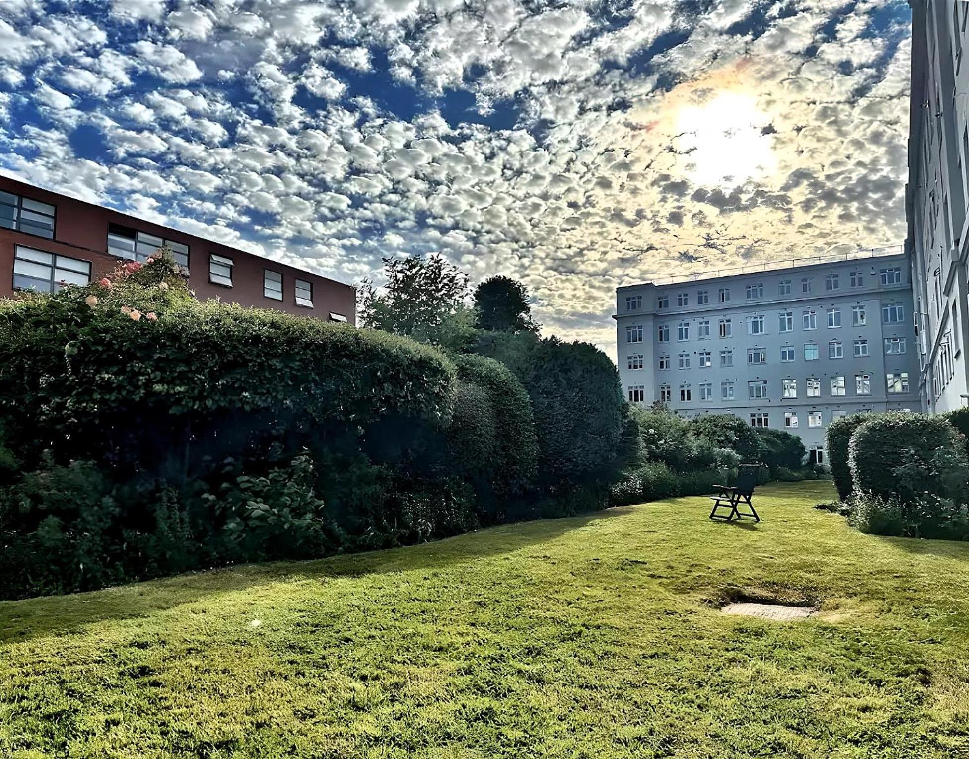 Brixton Hill Retreat Modern And Cosy Apartment London Ngoại thất bức ảnh