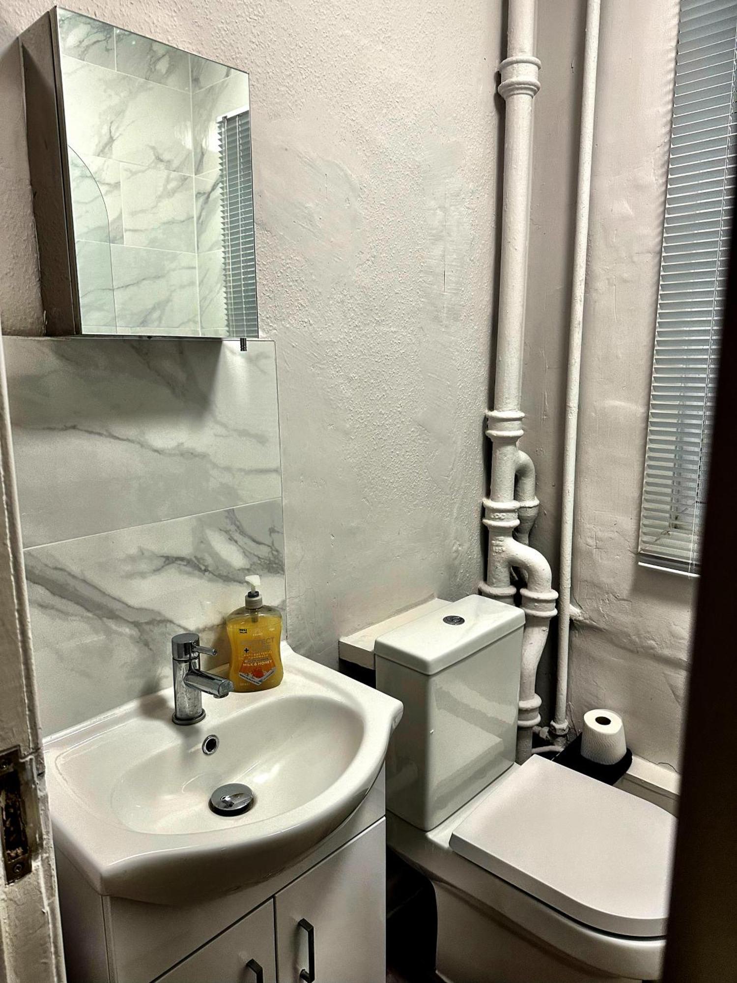Brixton Hill Retreat Modern And Cosy Apartment London Ngoại thất bức ảnh