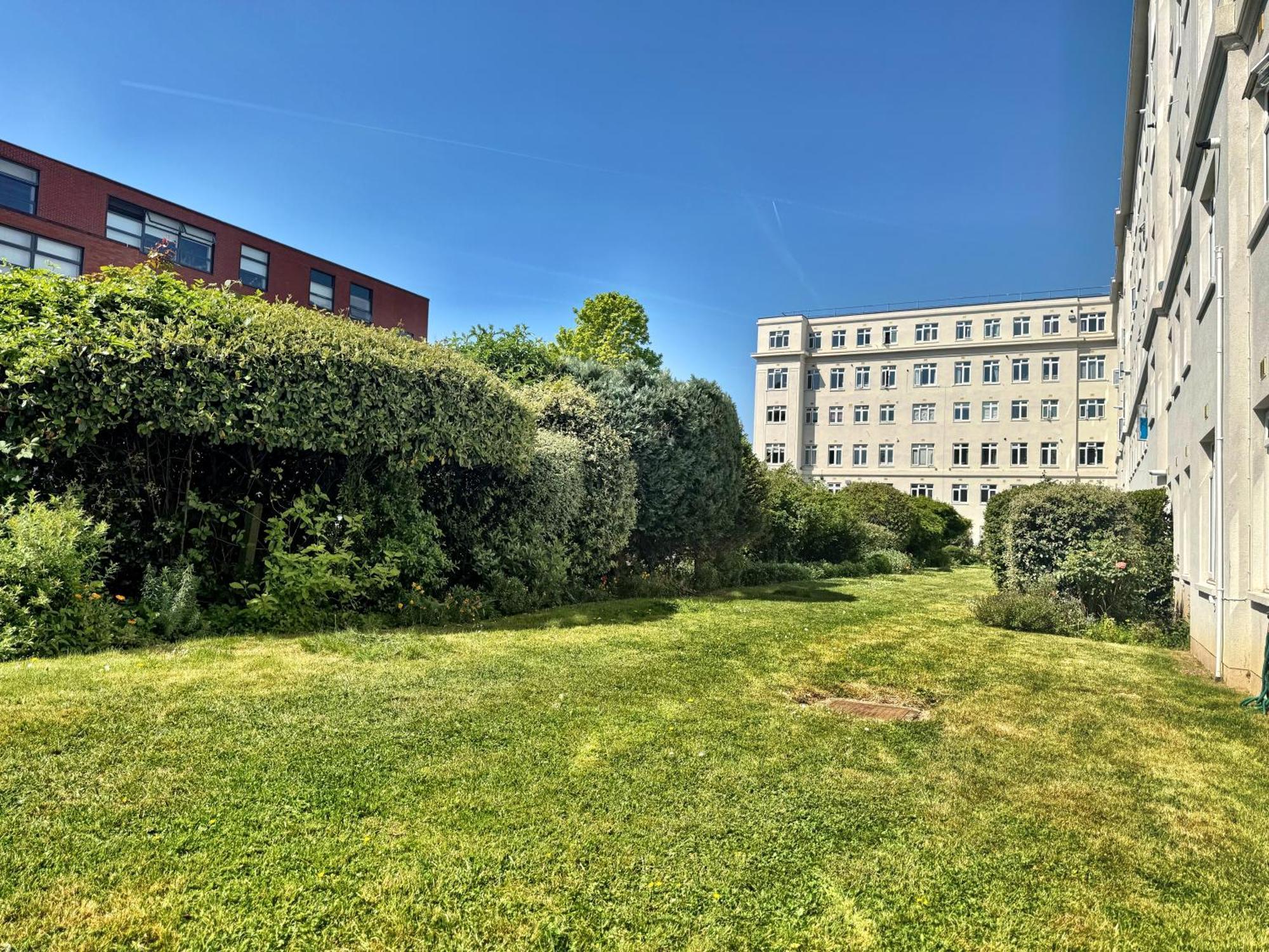 Brixton Hill Retreat Modern And Cosy Apartment London Ngoại thất bức ảnh