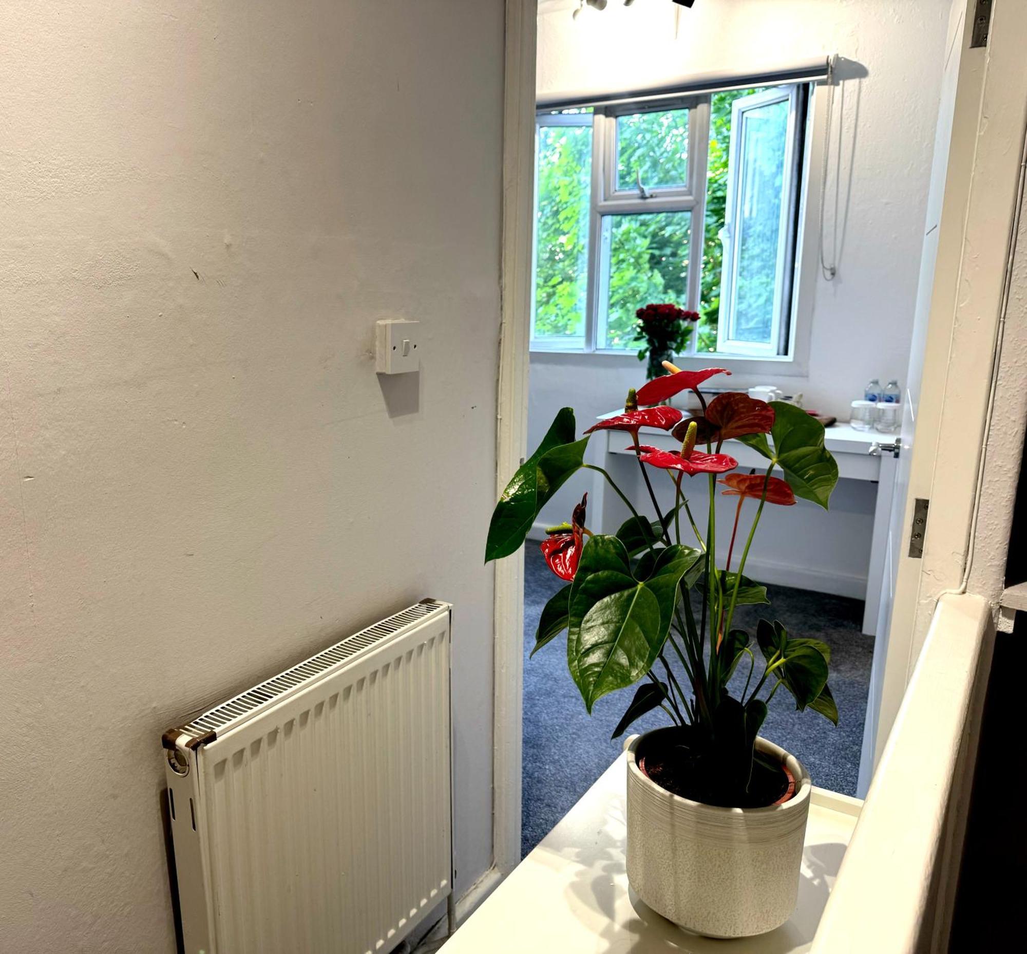 Brixton Hill Retreat Modern And Cosy Apartment London Ngoại thất bức ảnh